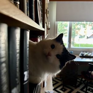 Kurt Reidar Van Tassen